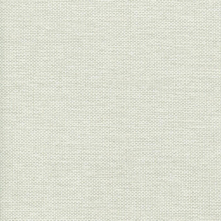 Bolsa Mist by Kasmir Fabric 5053 57% Cotton 43% Polyester TURKEY 87,000 Wyzenbeek Double Rubs H: N/A, V:N/A 55 - Fabric Carolina - Kasmir