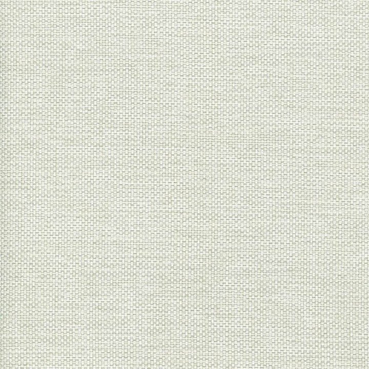 Bolsa Mist by Kasmir Fabric 5053 57% Cotton
43% Polyester
 TURKEY </p><p>Repeat: Horizontal: N/A and Vertical: N/A 55 - Fabric Carolina -