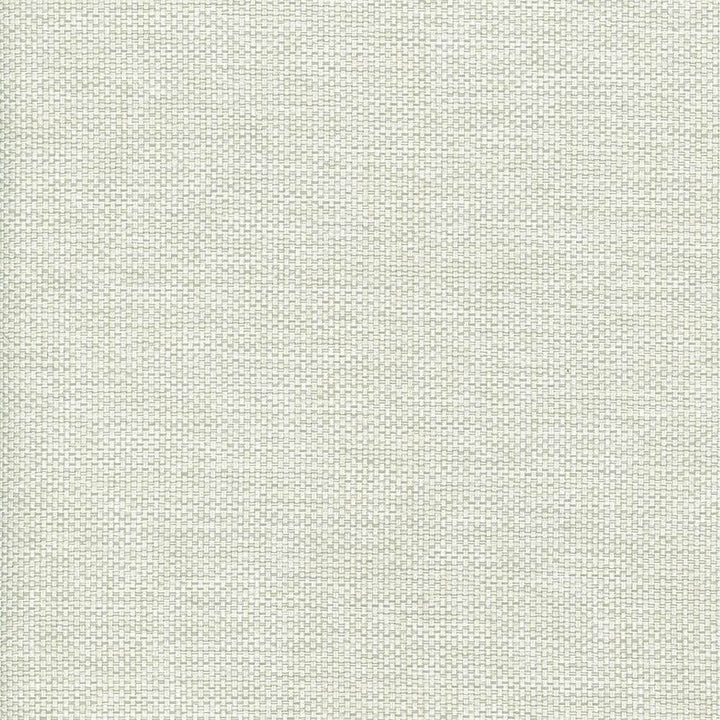 Bolsa Mist by Kasmir Fabric 5053 57% Cotton
43% Polyester
 TURKEY 87,000 Wyzenbeek Double Rubs Horizontal: N/A and Vertical: N/A 55 - Fabric Carolina -