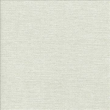 Bolsa Mist by Kasmir Fabric 5053 57% Cotton 43% Polyester TURKEY 87,000 Wyzenbeek Double Rubs H: N/A, V: N/A 55 - Fabric Carolina - Kasmir