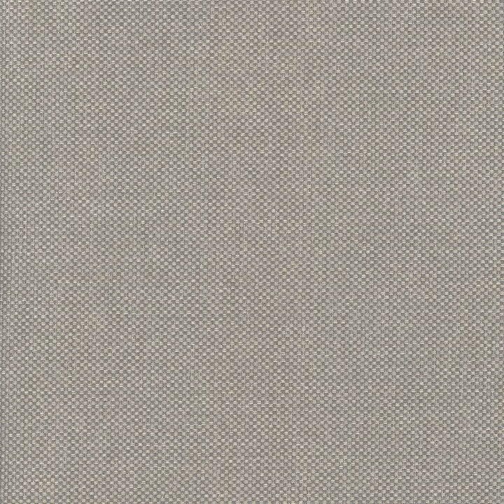 Bolsa Pebble by Kasmir Fabric 5053 57% Cotton
43% Polyester
 TURKEY 87,000 Wyzenbeek Double Rubs Horizontal: N/A and Vertical: N/A 55 - Fabric Carolina -