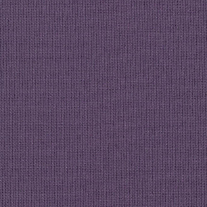 Bolsa Plum by Kasmir Fabric 5053 57% Cotton
43% Polyester
 TURKEY </p><p>Repeat: Horizontal: N/A and Vertical: N/A 55 - Fabric Carolina -