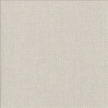 Bolsa Pumice by Kasmir Fabric 5053 57% Cotton 43% Polyester TURKEY 87,000 Wyzenbeek Double Rubs H: N/A, V: N/A 55 - Fabric Carolina - Kasmir