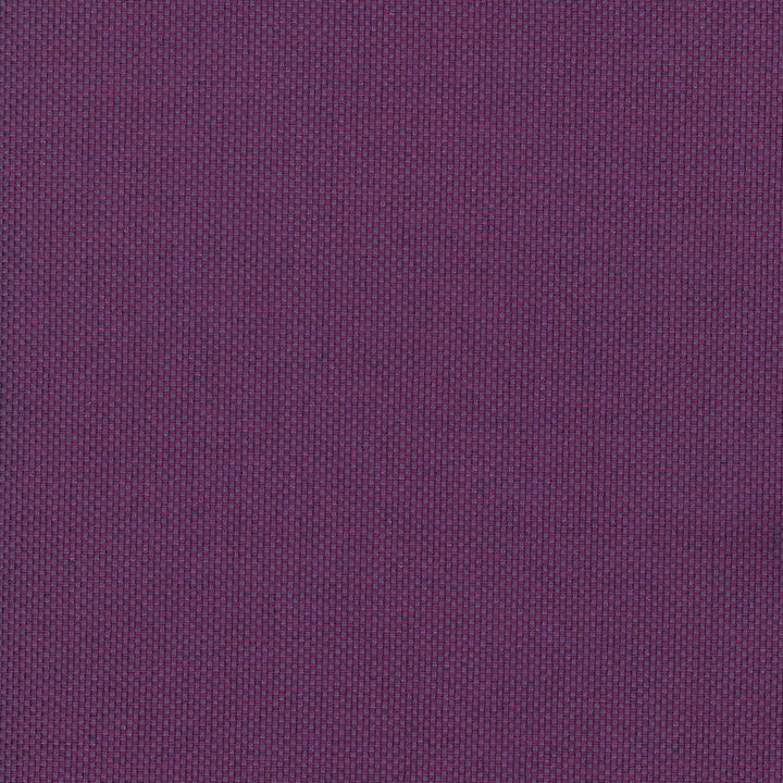 Bolsa Raspberry by Kasmir Fabric 5053 57% Cotton
43% Polyester
 TURKEY </p><p>Repeat: Horizontal: N/A and Vertical: N/A 55 - Fabric Carolina -