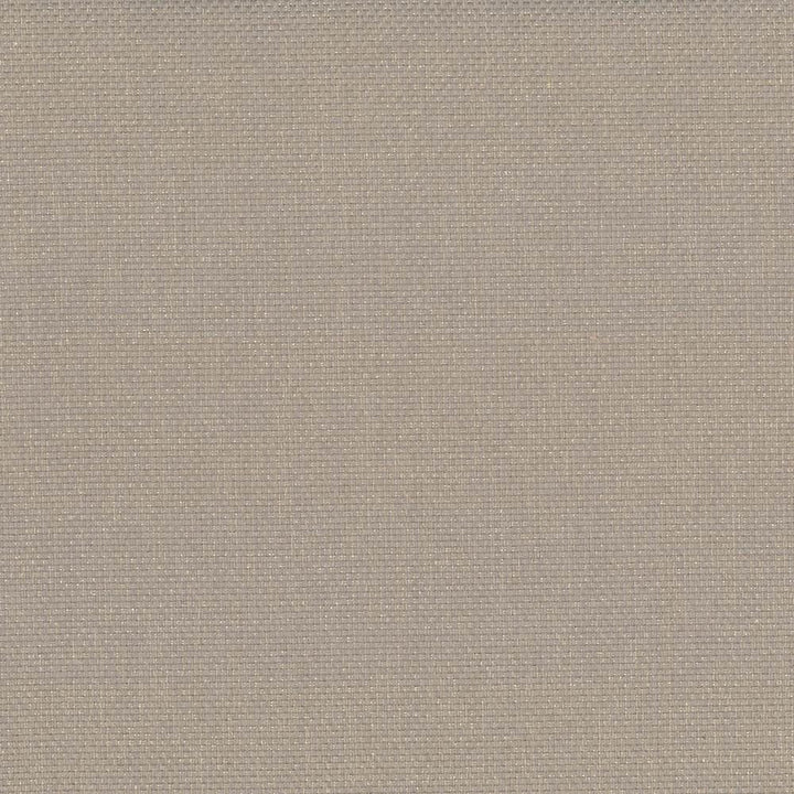 Bolsa Sand by Kasmir Fabric 5053 57% Cotton
43% Polyester
 TURKEY 87,000 Wyzenbeek Double Rubs </p><p>Repeat: Horizontal: N/A and Vertical: N/A 55 - Fabric Carolina -