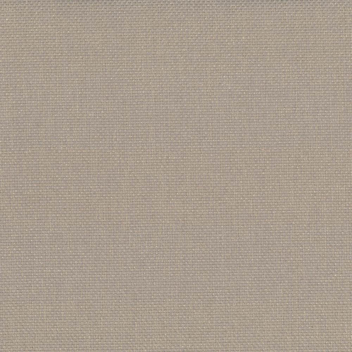 Bolsa Sand by Kasmir Fabric 5053 57% Cotton
43% Polyester
 TURKEY </p><p>Repeat: Horizontal: N/A and Vertical: N/A 55 - Fabric Carolina -