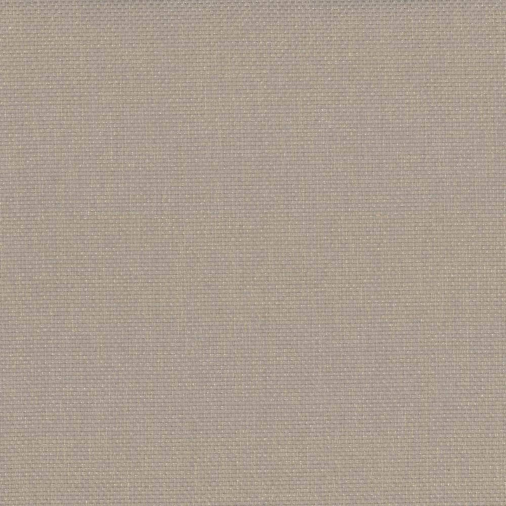 Bolsa Sand by Kasmir Fabric 5053 57% Cotton 43% Polyester TURKEY 87,000 Wyzenbeek Double Rubs H: N/A, V:N/A 55 - Fabric Carolina - Kasmir