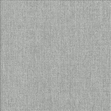 Bolsa Steel by Kasmir Fabric 5053 57% Cotton 43% Polyester TURKEY 87,000 Wyzenbeek Double Rubs H: N/A, V: N/A 55 - Fabric Carolina - Kasmir