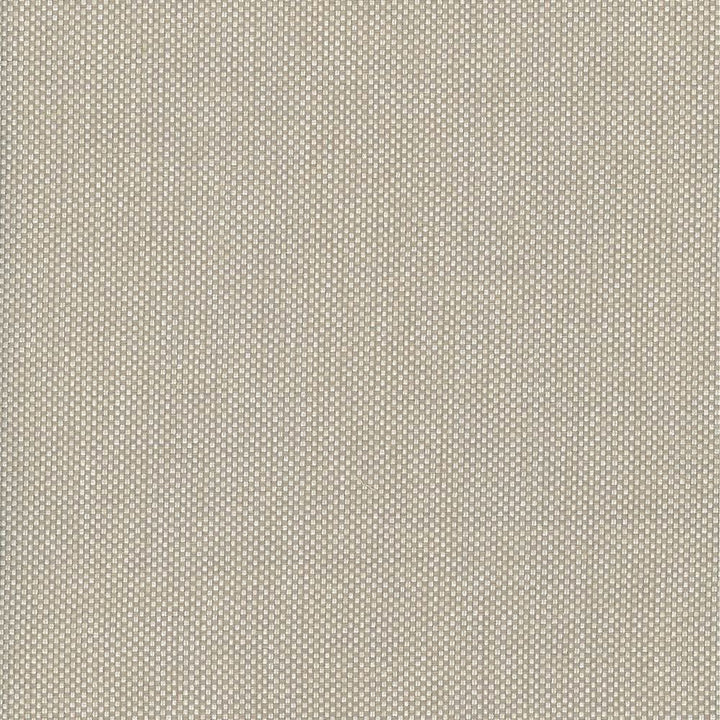 Bolsa Tan by Kasmir Fabric 5053 57% Cotton
43% Polyester
 TURKEY 87,000 Wyzenbeek Double Rubs </p><p>Repeat: Horizontal: N/A and Vertical: N/A 55 - Fabric Carolina -