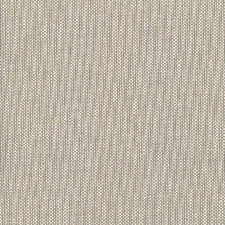 Bolsa Tan by Kasmir Fabric 5053 57% Cotton 43% Polyester TURKEY 87,000 Wyzenbeek Double Rubs H: N/A, V:N/A 55 - Fabric Carolina - Kasmir