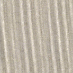 Bolsa Tan by Kasmir Fabric