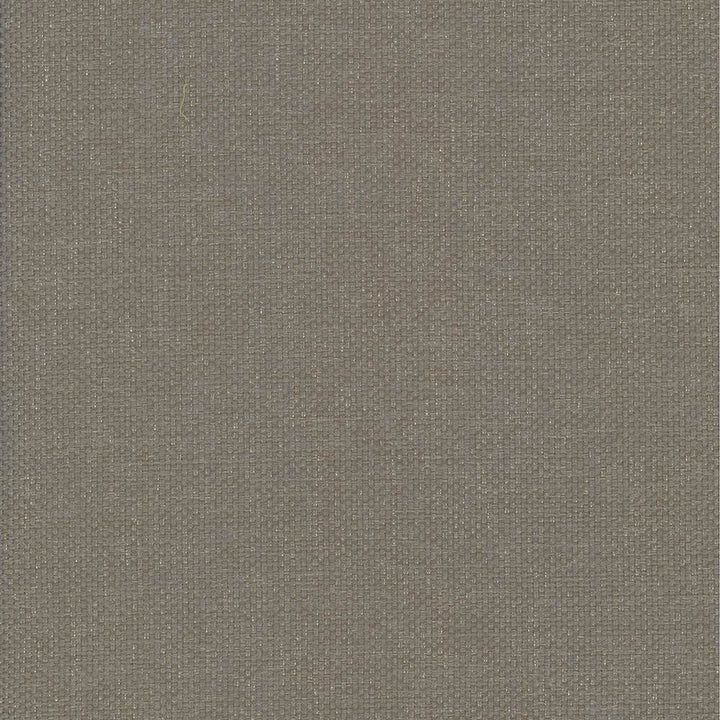 Bolsa Taupe  by Kasmir Fabric See sample 57% Cotton
43% Polyester
 TURKEY 87,000 Wyzenbeek Double Rubs </p><p>Repeat: Horizontal: N/A and Vertical: N/A 55  - Fabric Carolina -