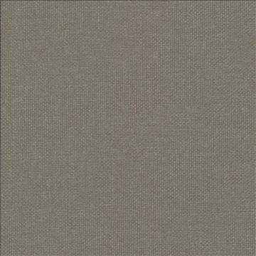 Bolsa Taupe by Kasmir Fabric 5053 57% Cotton 43% Polyester TURKEY 87,000 Wyzenbeek Double Rubs H: N/A, V: N/A 55 - Fabric Carolina - Kasmir