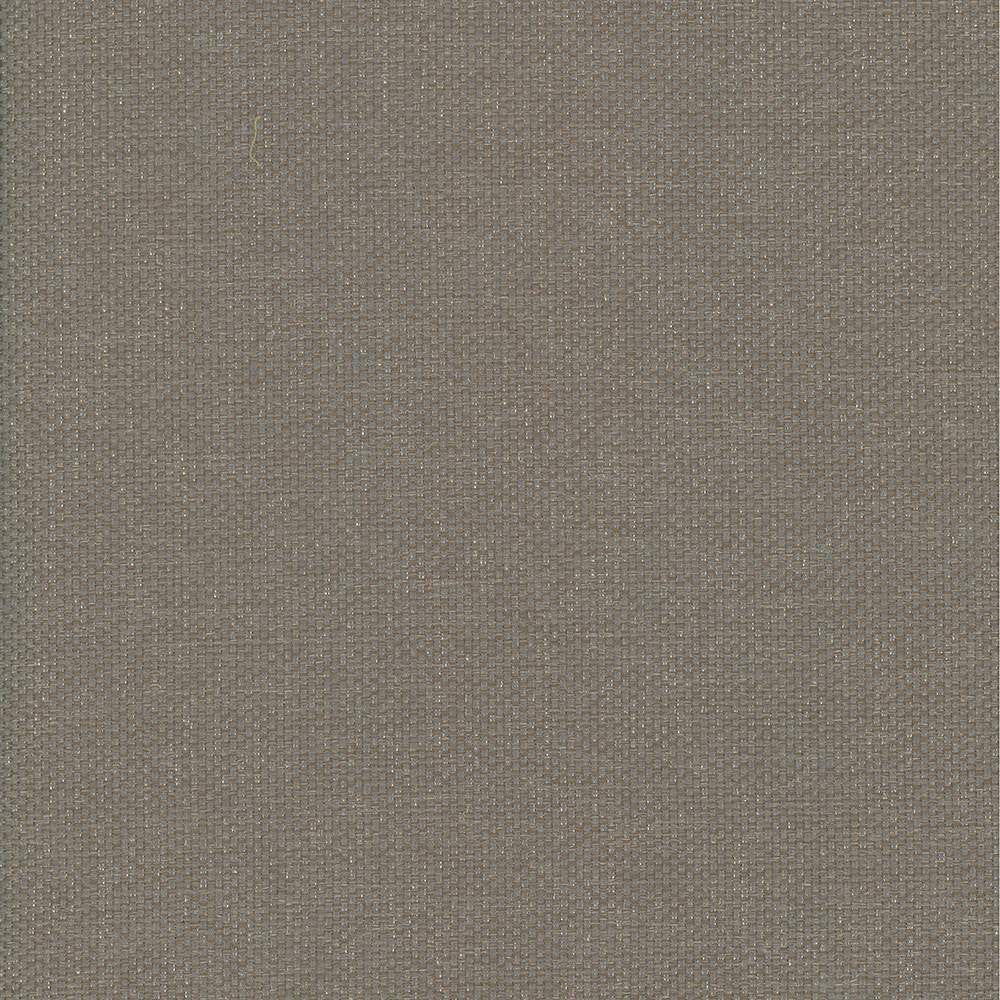 Bolsa Taupe by Kasmir Fabric 5053 57% Cotton 43% Polyester TURKEY 87,000 Wyzenbeek Double Rubs H: N/A, V:N/A 55 - Fabric Carolina - Kasmir