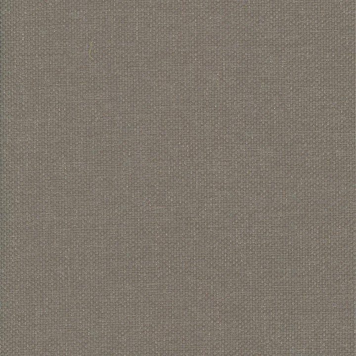 Bolsa Taupe by Kasmir Fabric 5053 57% Cotton 43% Polyester TURKEY 87,000 Wyzenbeek Double Rubs H: N/A, V:N/A 55 - Fabric Carolina - Kasmir