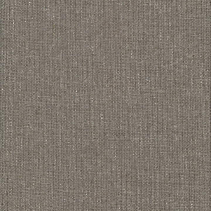 Bolsa Taupe by Kasmir Fabric 5053 57% Cotton
43% Polyester
 TURKEY </p><p>Repeat: Horizontal: N/A and Vertical: N/A 55 - Fabric Carolina -