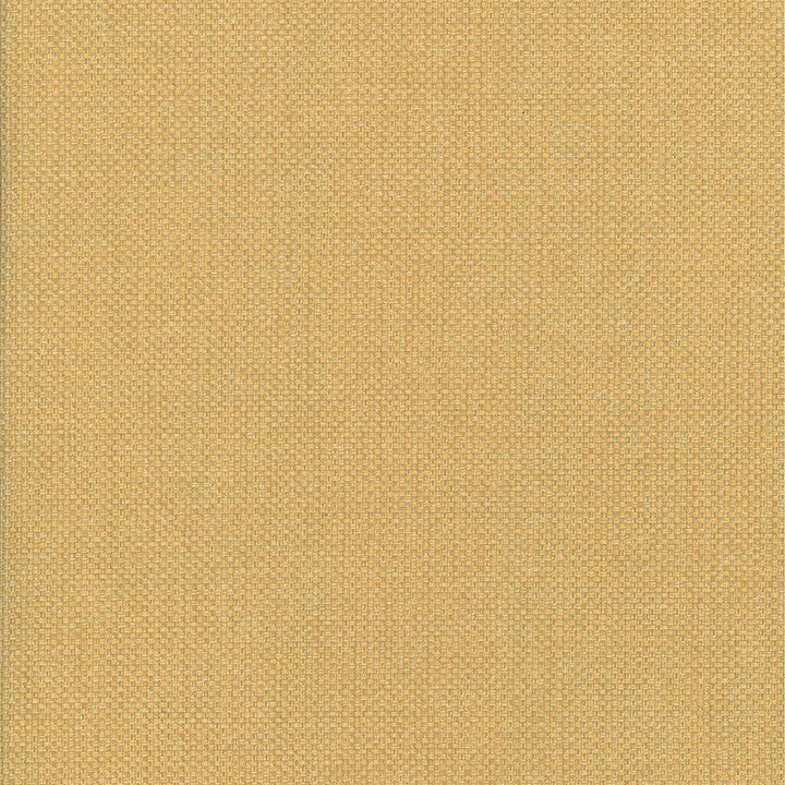 Bolsa Toffee by Kasmir Fabric 5053 57% Cotton 43% Polyester TURKEY 87,000 Wyzenbeek Double Rubs H: N/A, V:N/A 55 - Fabric Carolina - Kasmir