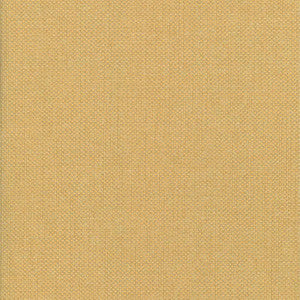 Bolsa Toffee by Kasmir Fabric