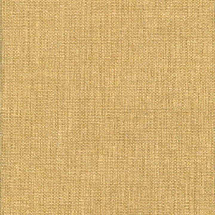 Bolsa Toffee by Kasmir Fabric 5053 57% Cotton
43% Polyester
 TURKEY </p><p>Repeat: Horizontal: N/A and Vertical: N/A 55 - Fabric Carolina -