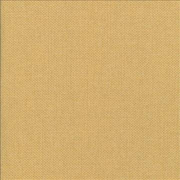Bolsa Toffee by Kasmir Fabric 5053 57% Cotton 43% Polyester TURKEY 87,000 Wyzenbeek Double Rubs H: N/A, V: N/A 55 - Fabric Carolina - Kasmir