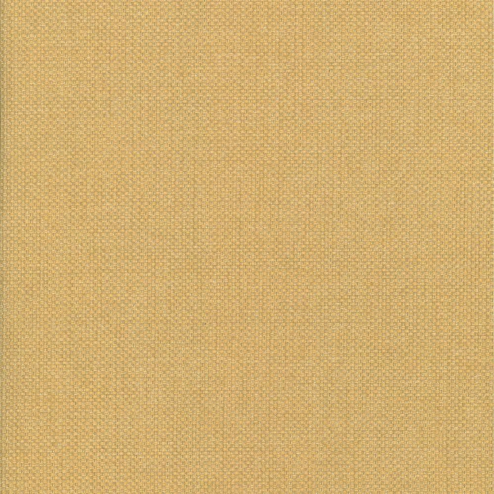 Bolsa Toffee by Kasmir Fabric 5053 57% Cotton
43% Polyester
 TURKEY </p><p>Repeat: Horizontal: N/A and Vertical: N/A 55 - Fabric Carolina -