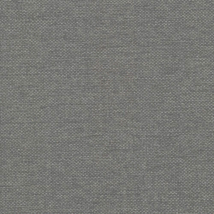 Bolsa Zinc by Kasmir Fabric 5053 57% Cotton
43% Polyester
 TURKEY 87,000 Wyzenbeek Double Rubs Horizontal: N/A and Vertical: N/A 55 - Fabric Carolina -