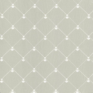 Borderline Champagne by Kasmir Fabric