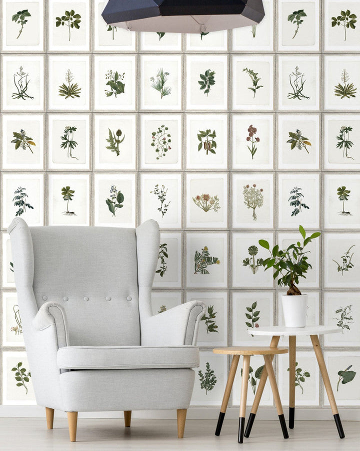 Botany Wallpaper by Mind the Gap Designer Wallpaper PREMIUM DESIGNER WALLPAPER COLLECTION Non-woven Made in Europe Paste the wall 3 rolls x 20.5 x 3.25 yards - Swanky Fabrics -