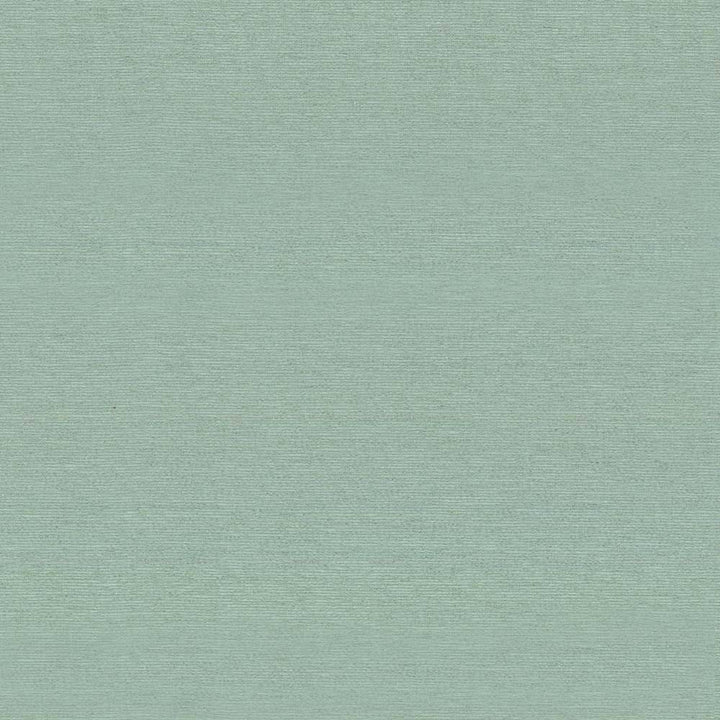 Boutique Aquamarine by Kasmir Fabric 5028 87% Rayon 13% Polyester INDIA 50,000 Wyzenbeek Double Rubs H: N/A, V:N/A 54 - 56 - Fabric Carolina - Kasmir