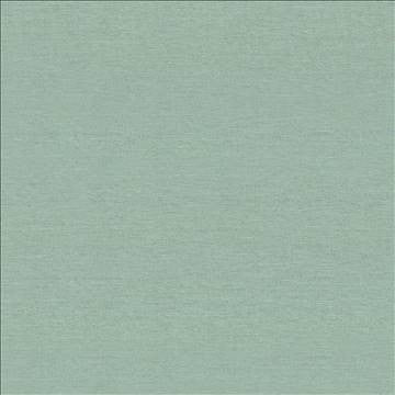 Boutique Aquamarine by Kasmir Fabric 5028 87% Rayon 13% Polyester INDIA 50,000 Wyzenbeek Double Rubs H: N/A, V: N/A 54 - 56 - Fabric Carolina - Kasmir