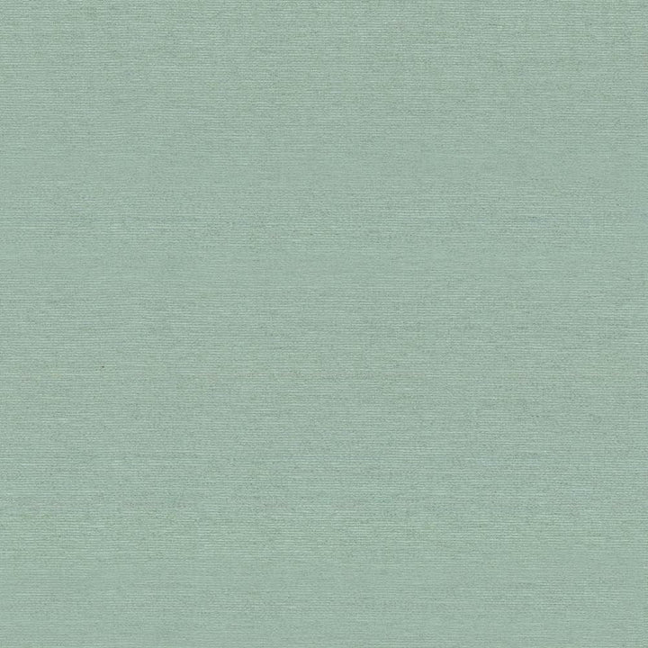 Boutique Aquamarine by Kasmir Fabric 5028 87% Rayon
13% Polyester
 INDIA 50,000 Wyzenbeek Double Rubs Horizontal: N/A and Vertical: N/A 54 - Fabric Carolina -