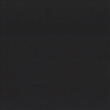Boutique Black by Kasmir Fabric 5028 87% Rayon 13% Polyester INDIA 50,000 Wyzenbeek Double Rubs H: N/A, V: N/A 54 - 56 - Fabric Carolina - Kasmir