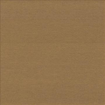 Boutique Bronze by Kasmir Fabric 5028 87% Rayon 13% Polyester INDIA 50,000 Wyzenbeek Double Rubs H: N/A, V: N/A 54 - 56 - Fabric Carolina - Kasmir