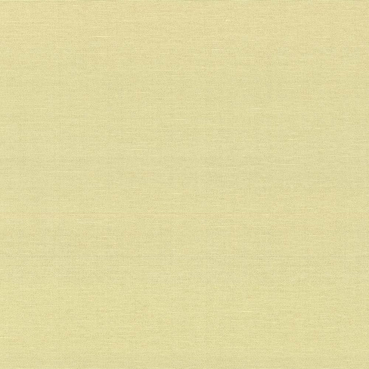 Boutique Canary  by Kasmir Fabric See sample 87% Rayon
13% Polyester
 INDIA 50,000 Wyzenbeek Double Rubs </p><p>Repeat: Horizontal: N/A and Vertical: N/A 54  - Fabric Carolina -