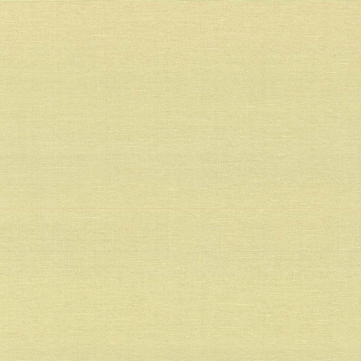 Boutique Canary by Kasmir Fabric 5028 87% Rayon 13% Polyester INDIA 50,000 Wyzenbeek Double Rubs H: N/A, V:N/A 54 - 56 - Fabric Carolina - Kasmir