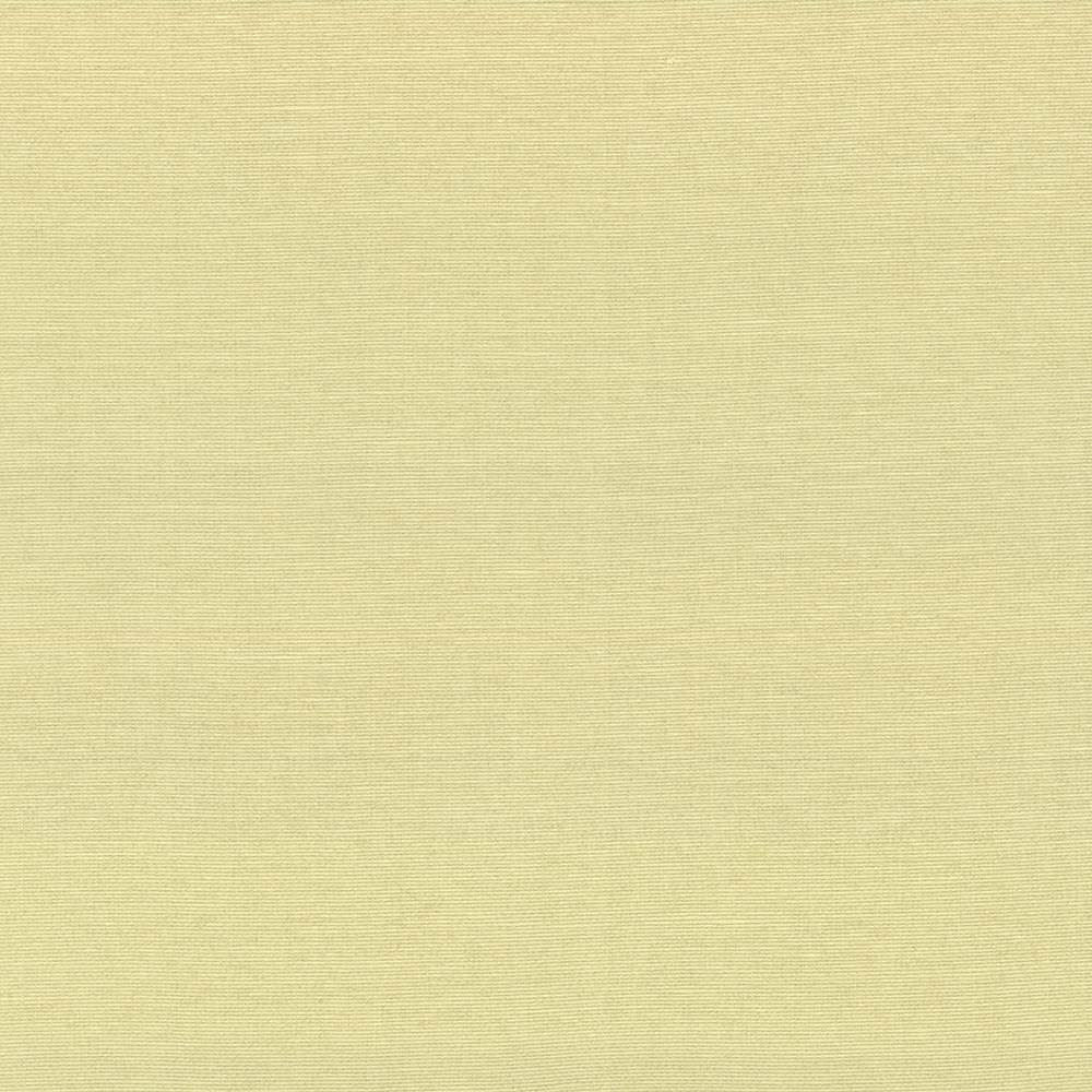 Boutique Canary by Kasmir Fabric 5028 87% Rayon
13% Polyester
 INDIA 50,000 Wyzenbeek Double Rubs </p><p>Repeat: Horizontal: N/A and Vertical: N/A 54 - Fabric Carolina -