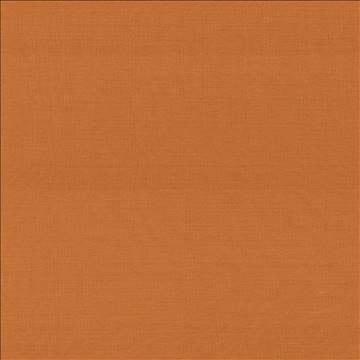 Boutique Citrus by Kasmir Fabric 5028 87% Rayon 13% Polyester INDIA 50,000 Wyzenbeek Double Rubs H: N/A, V: N/A 54 - 56 - Fabric Carolina - Kasmir