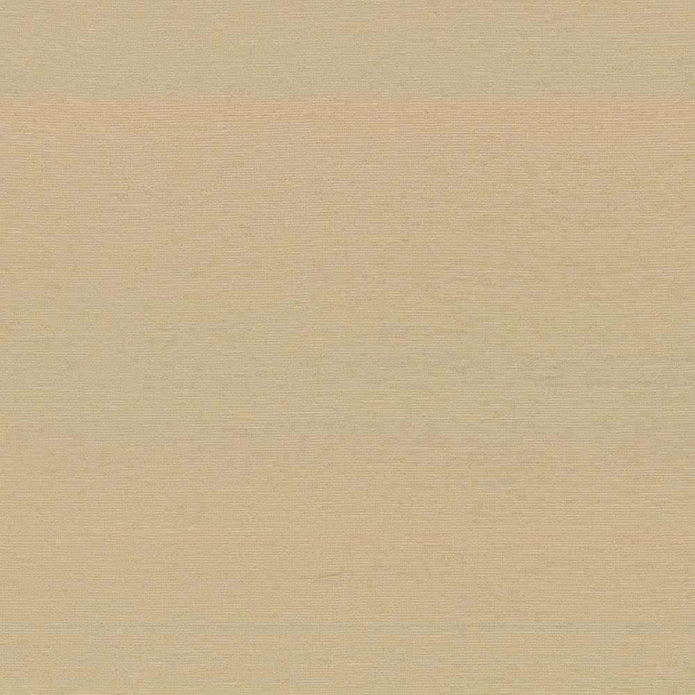 Boutique Coin  by Kasmir Fabric See sample 87% Rayon
13% Polyester
 INDIA 50,000 Wyzenbeek Double Rubs </p><p>Repeat: Horizontal: N/A and Vertical: N/A 54  - Fabric Carolina -