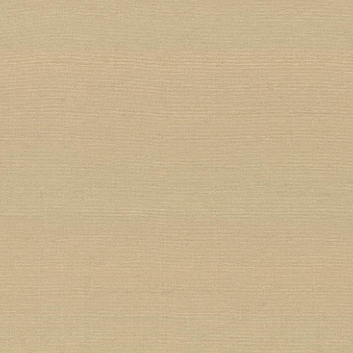 Boutique Coin  by Kasmir Fabric See sample 87% Rayon
13% Polyester
 INDIA 50,000 Wyzenbeek Double Rubs </p><p>Repeat: Horizontal: N/A and Vertical: N/A 54  - Fabric Carolina -