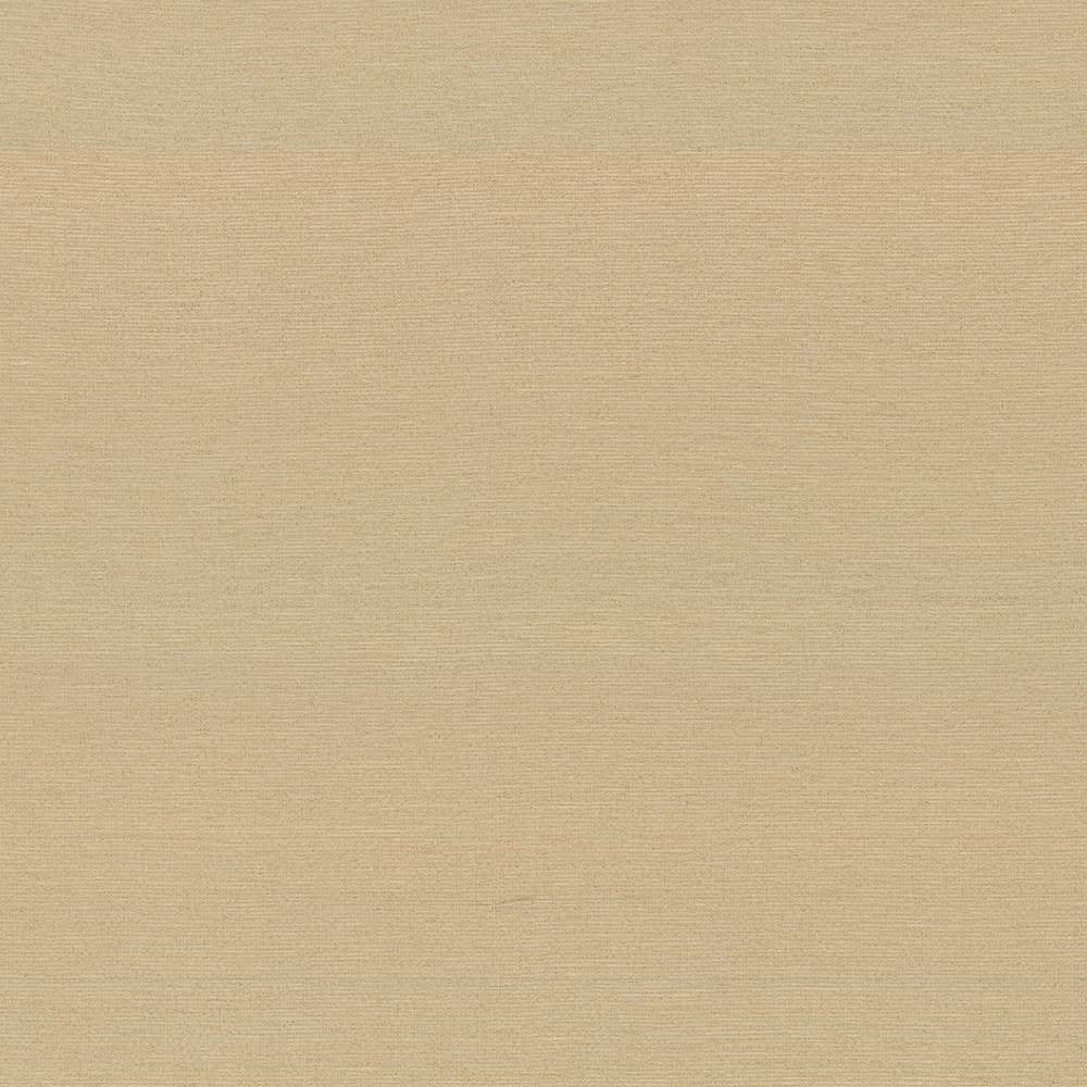 Boutique Coin by Kasmir Fabric 5028 87% Rayon 13% Polyester INDIA 50,000 Wyzenbeek Double Rubs H: N/A, V:N/A 54 - 56 - Fabric Carolina - Kasmir