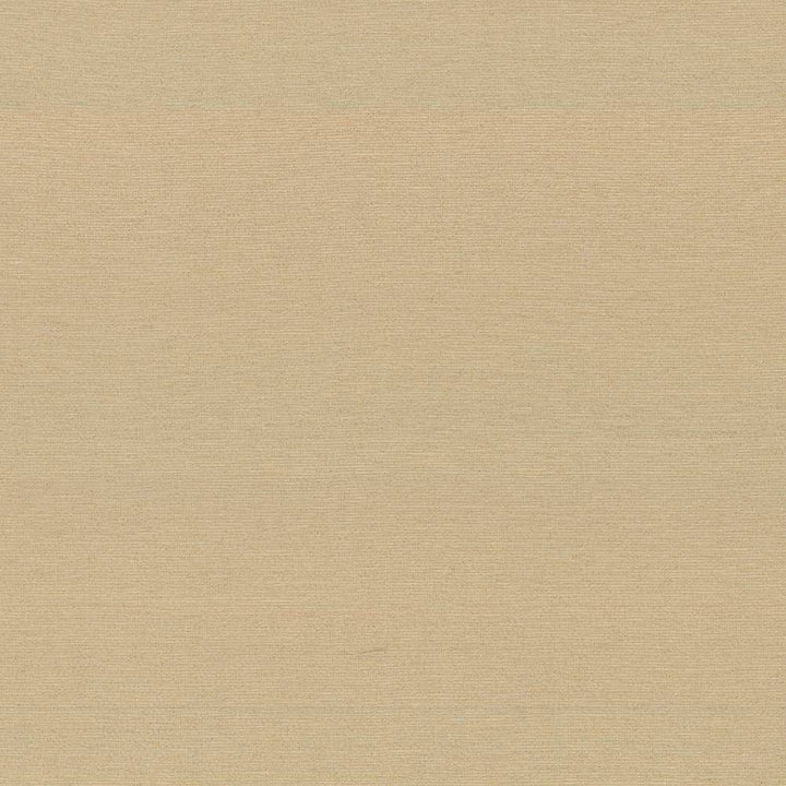 Boutique Coin by Kasmir Fabric 5028 87% Rayon 13% Polyester INDIA 50,000 Wyzenbeek Double Rubs H: N/A, V:N/A 54 - 56 - Fabric Carolina - Kasmir