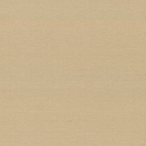 Boutique Coin by Kasmir Fabric