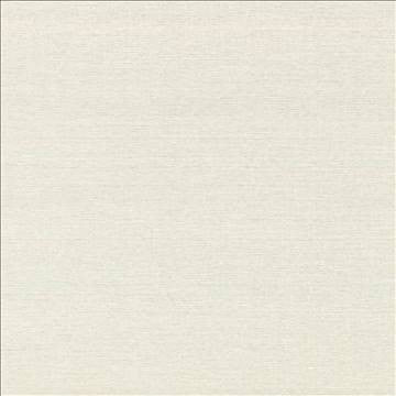 Boutique Cream by Kasmir Fabric 5028 87% Rayon 13% Polyester INDIA 50,000 Wyzenbeek Double Rubs H: N/A, V: N/A 54 - 56 - Fabric Carolina - Kasmir