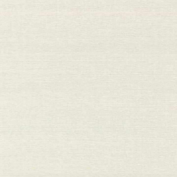Boutique Cream by Kasmir Fabric 5028 87% Rayon 13% Polyester INDIA 50,000 Wyzenbeek Double Rubs H: N/A, V:N/A 54 - 56 - Fabric Carolina - Kasmir