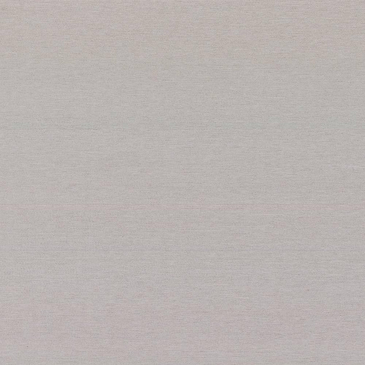Boutique Dove by Kasmir Fabric 5028 87% Rayon 13% Polyester INDIA 50,000 Wyzenbeek Double Rubs H: N/A, V:N/A 54 - 56 - Fabric Carolina - Kasmir