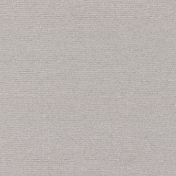 Boutique Dove by Kasmir Fabric 5028 87% Rayon
13% Polyester
 INDIA 50,000 Wyzenbeek Double Rubs Horizontal: N/A and Vertical: N/A 54 - Fabric Carolina -