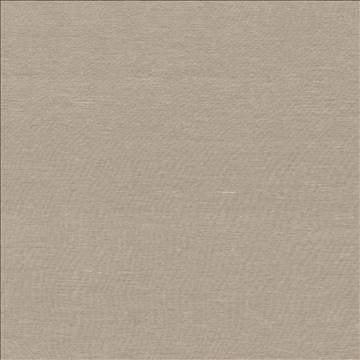 Boutique Dune by Kasmir Fabric 5028 87% Rayon 13% Polyester INDIA 50,000 Wyzenbeek Double Rubs H: N/A, V: N/A 54 - 56 - Fabric Carolina - Kasmir