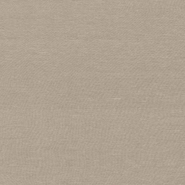Boutique Dune by Kasmir Fabric 5028 87% Rayon 13% Polyester INDIA 50,000 Wyzenbeek Double Rubs H: N/A, V:N/A 54 - 56 - Fabric Carolina - Kasmir