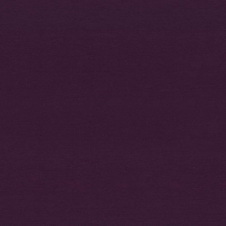 Boutique Eggplant by Kasmir Fabric 5028 87% Rayon
13% Polyester
 INDIA 50,000 Wyzenbeek Double Rubs </p><p>Repeat: Horizontal: N/A and Vertical: N/A 54 - Fabric Carolina -