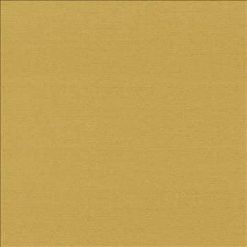 Boutique Golden by Kasmir Fabric 5028 87% Rayon 13% Polyester INDIA 50,000 Wyzenbeek Double Rubs H: N/A, V: N/A 54 - 56 - Fabric Carolina - Kasmir